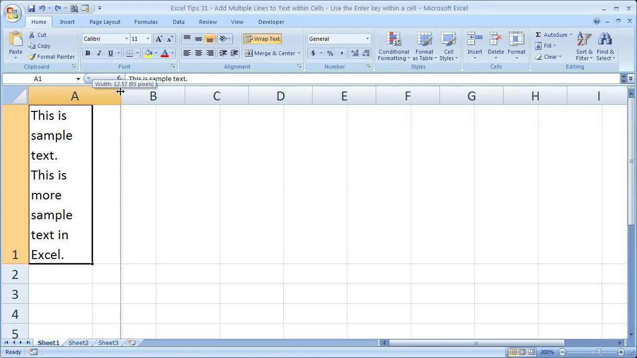 make a paragraph within a cell excel for mac 2011